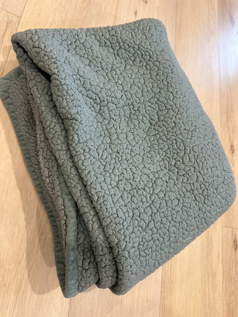Plush Sherpa Throw Blanket - light blue